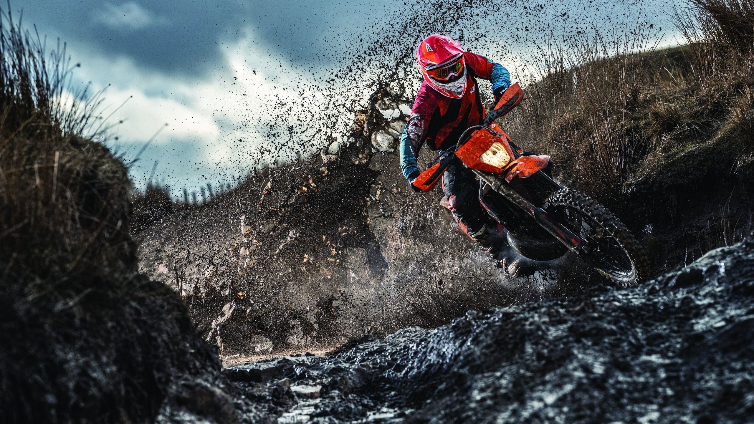 Chinese Taipei团队未来规划：构建世界级竞技平台，china taipei